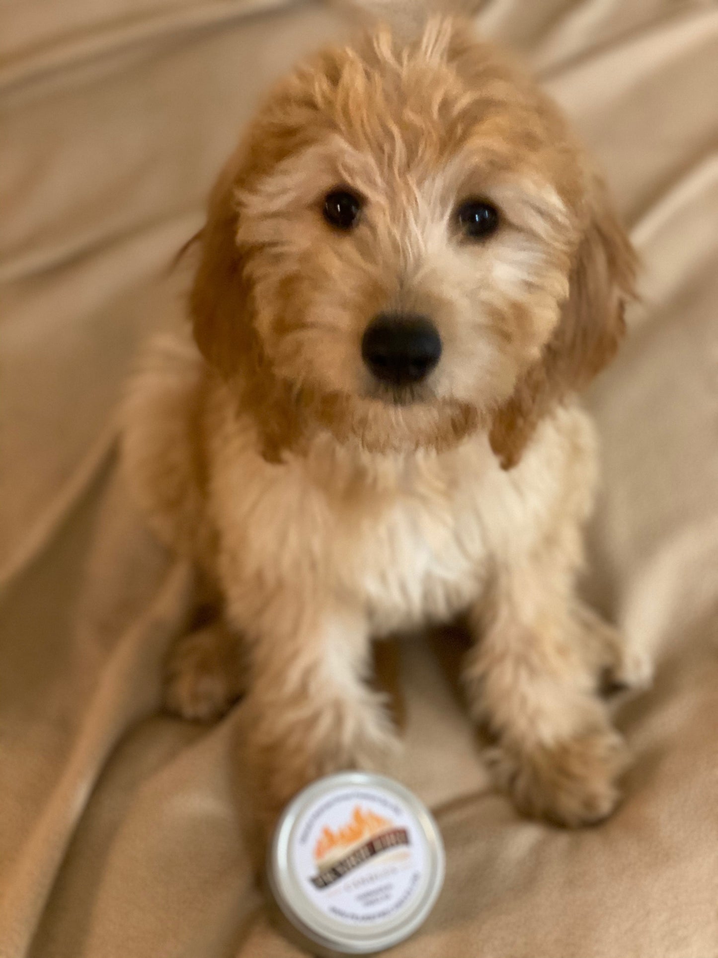 Puppy Breath Soy Candle | 9 oz Amber Apothecary Jar