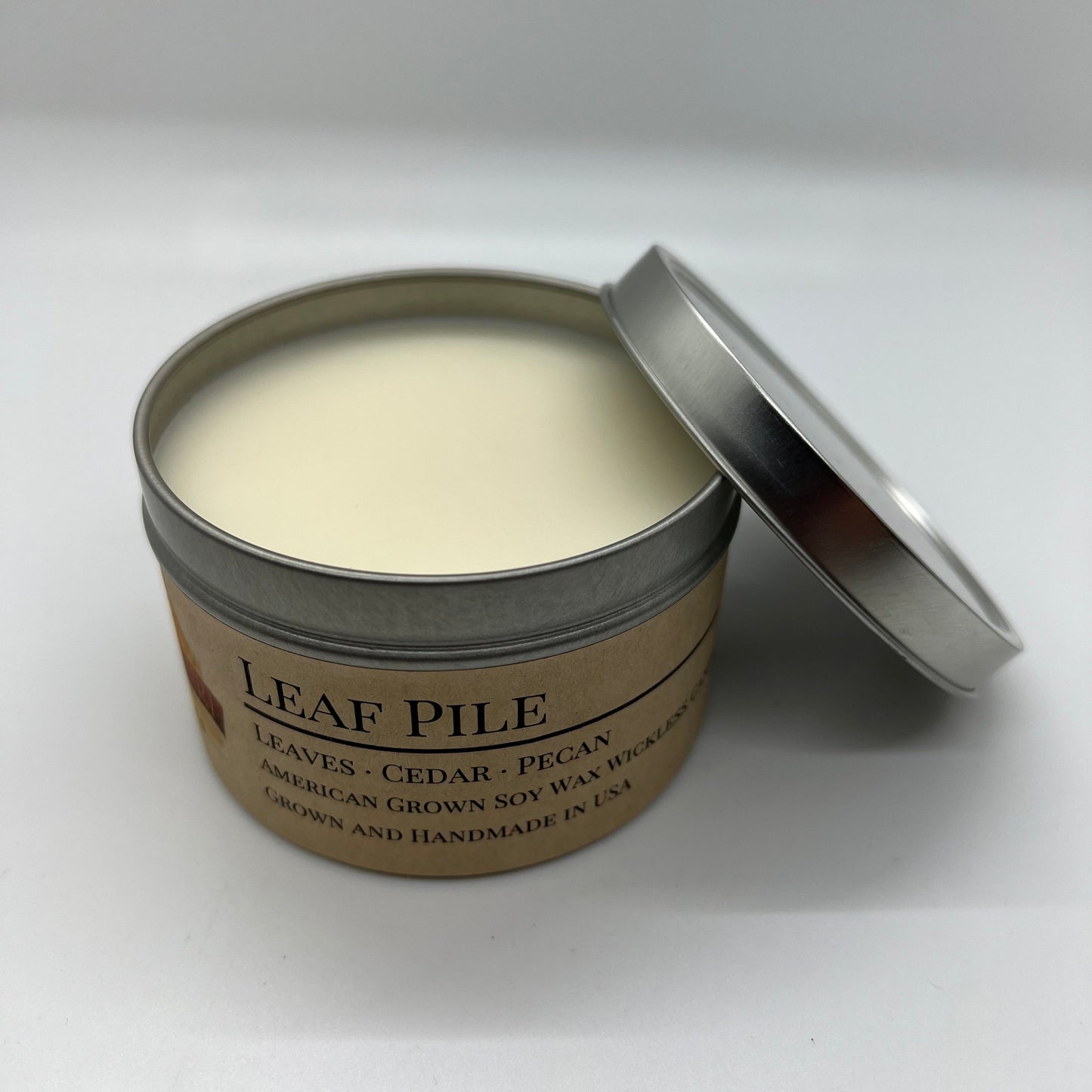 Leaf Pile Soy Wickless Candle Melt | 8 oz Travel Tin