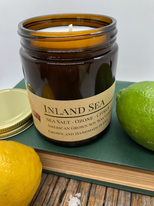 Inland Sea Soy Candle | 9 oz Amber Apothecary Jar