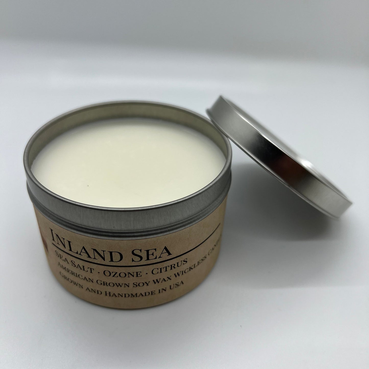 Inland Sea Soy Wickless Candle Melt | 8 oz Travel Tin